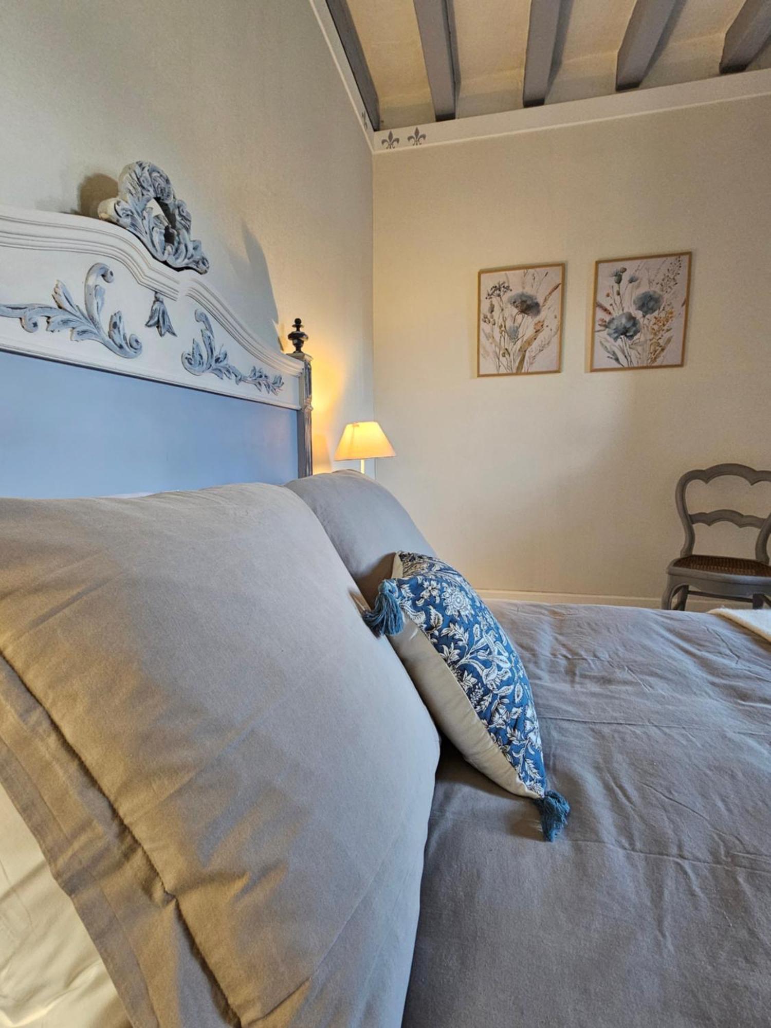 Regard Sur Le Chateau Saint-Aignan  Bagian luar foto