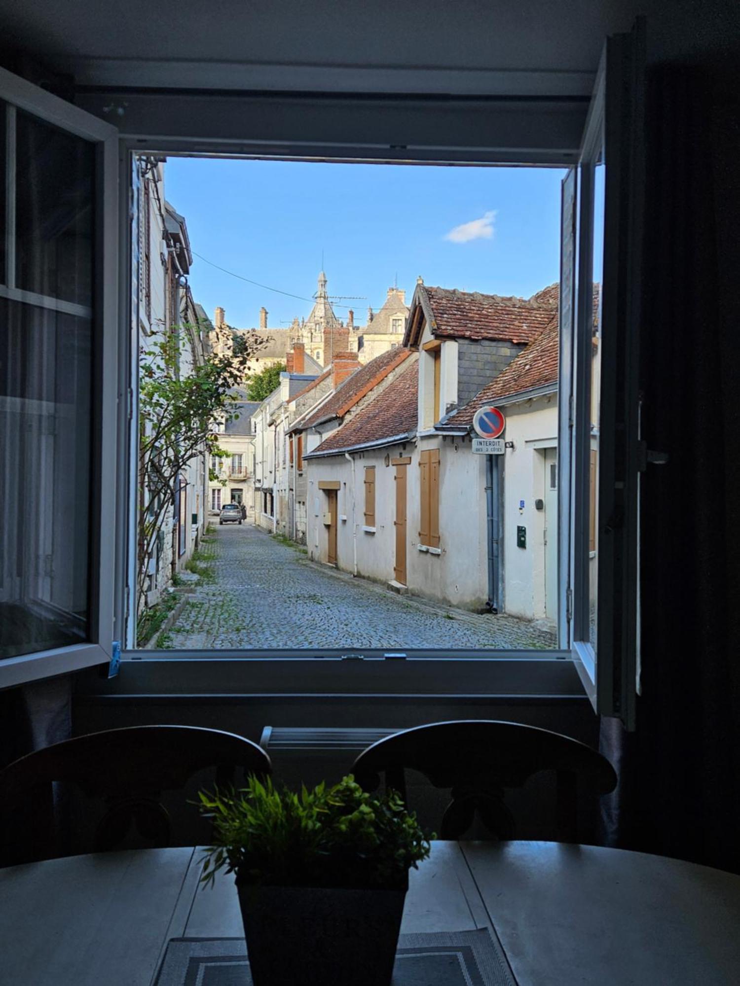 Regard Sur Le Chateau Saint-Aignan  Bagian luar foto